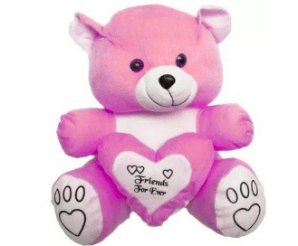 NO3 CLOTH TEDDY WITH COVER (more colors)