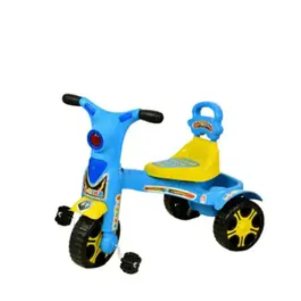 TRICYCLE E BIKE MODEL