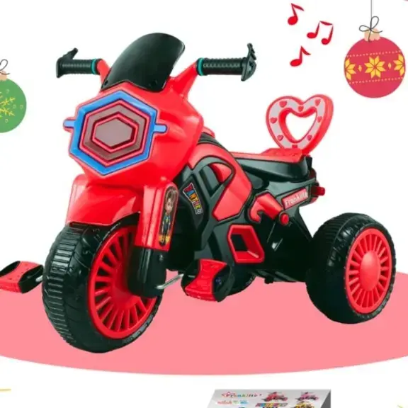 Panther Bike With Box